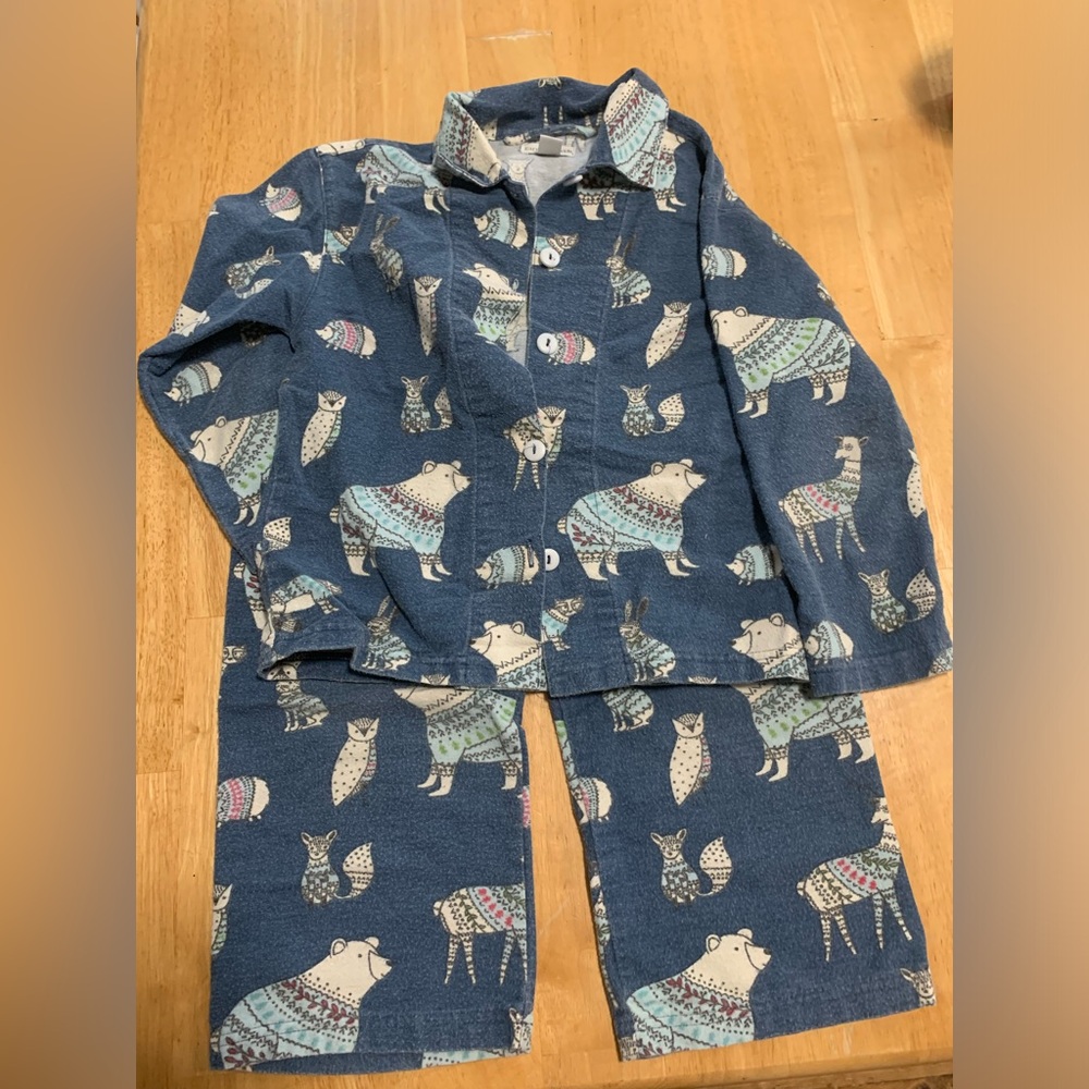 Garnet Hill Kids Flannel PJ Set